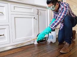 Best Real Estate Pest Inspections  in Branchville, SC